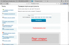 Проверка портов на открытость по ip адресу