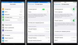 Как отключить передачу данных на iPhone 5s