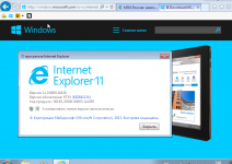 Какой internet explorer лучше для Windows 7